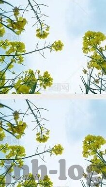 今天法国足球比分-今日法甲风云，今天法国足球比分背后藏着多少故事